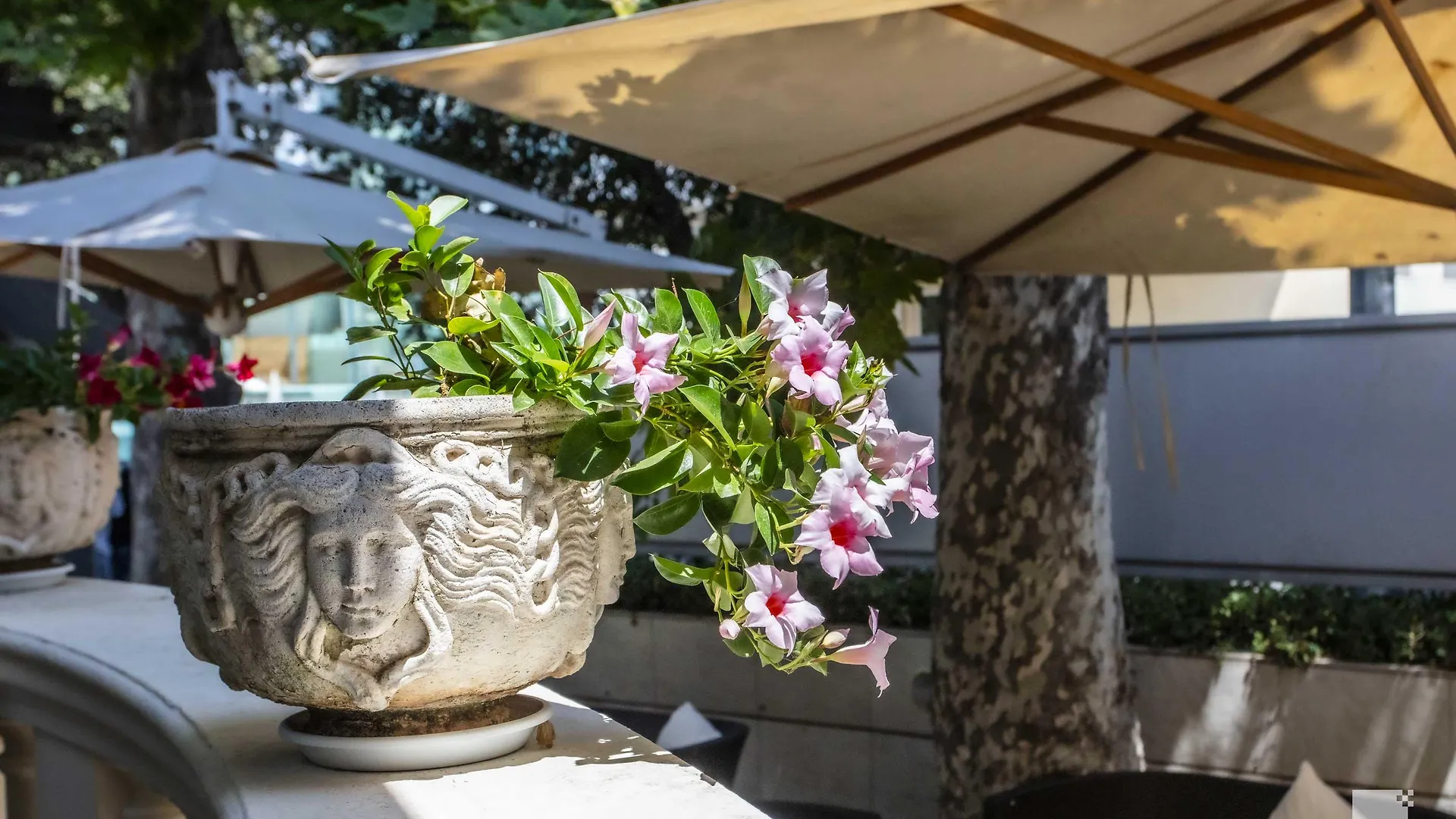 Hotel Regina Elena 57&Oro Bianco SPA Rímini