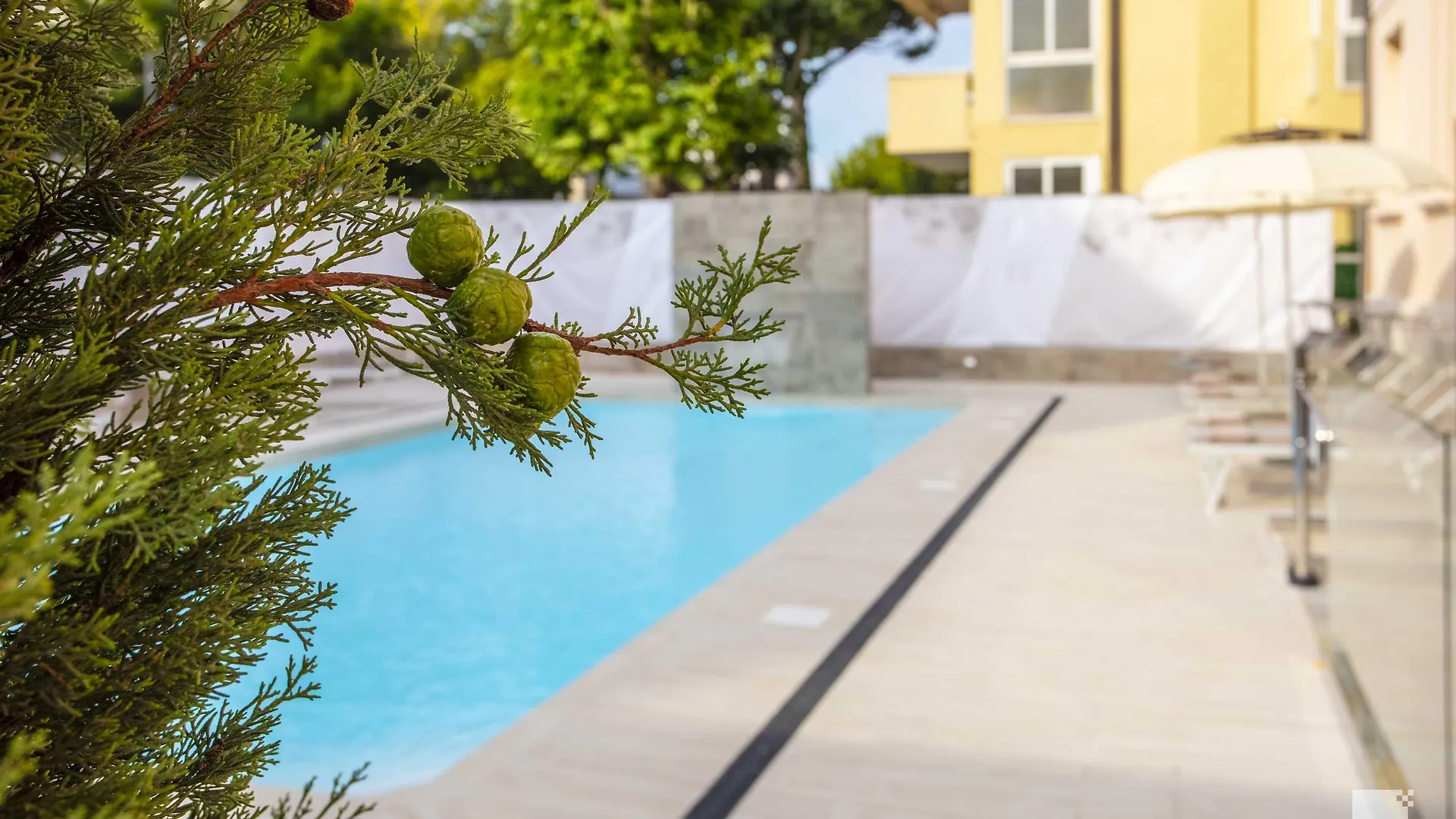 ****  Hotel Regina Elena 57 & Oro Bianco Spa Rimini Itália